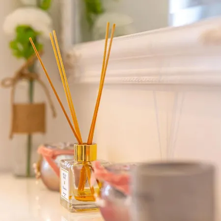 Fit * サラエヴォ