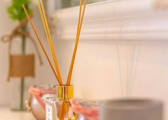 Fit * サラエヴォ